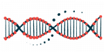 This illustration of a DNA strand shows its double-helix structure.