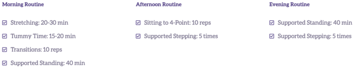 A sample physical therapy schedule includes morning, afternoon, and evening routines. The morning routine involves 20-30 minutes of stretching, 15-20 minutes of tummy time, 10 reps of transitions, and 40 minutes of supported standing. The afternoon routine involves 10 reps of sitting to 4-point and 5 reps of supported stepping. The evening routine involves 40 minutes of supported standing and 5 reps of supported stepping.