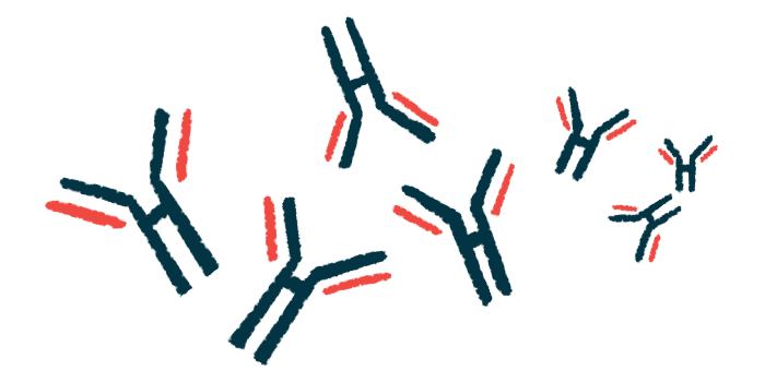 Antibodies are shown in this illustration.