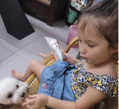 A young girl, maybe 5 or 6 years old, sits on a wicker chair with her left hand extended toward a small white dog. The girl is holding a bag of treats in her right hand, and the dog is looking up at her with interest.