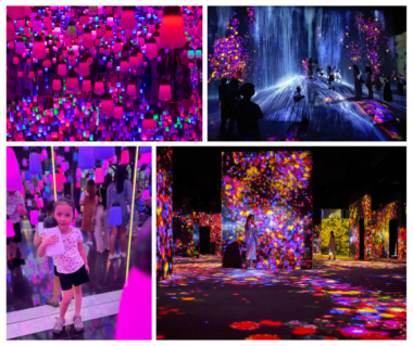 A four-photo collage shows digital art exhibits with lots of colorful items and intriguing lighting. 