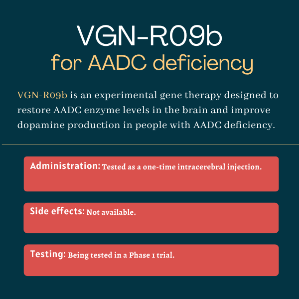 VGN-R09b for AADC deficiency